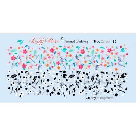 Слайдер Lucky Rose True Colour 30
