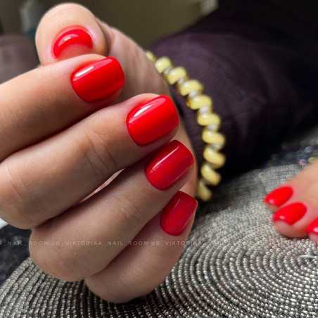 Гель лак Karo DESIRE 156