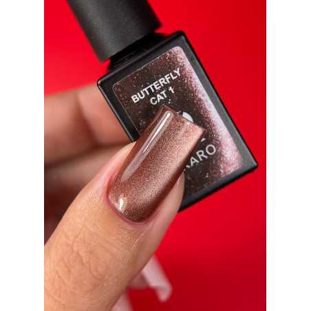 Karo Butterfly Cat 1