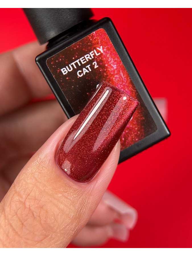 Karo Butterfly Cat 2