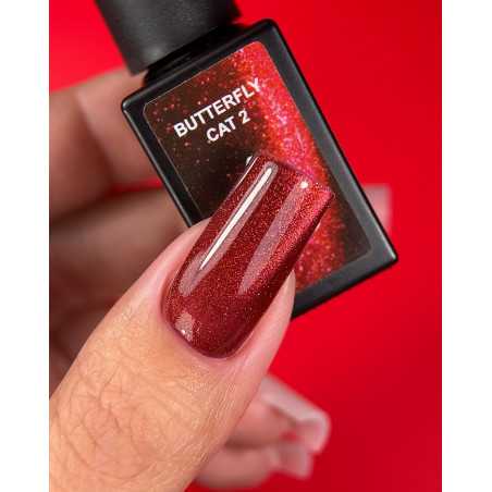 Karo Butterfly Cat 2