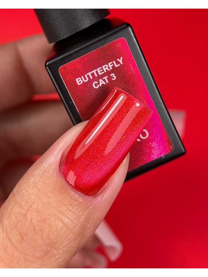 Karo Butterfly Cat 3