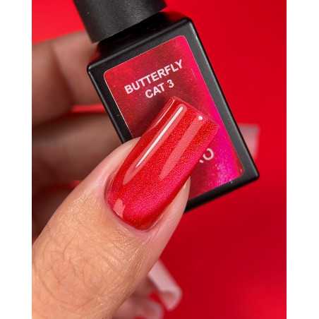 Karo Butterfly Cat 3